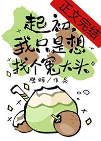 起初，我只是想找个冤大头封面