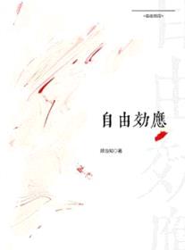 自由效应封面