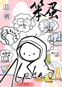 总被笨蛋Alpha吸引怎么办封面