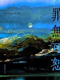罪无可恕封面