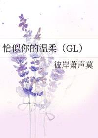 恰似你的温柔封面