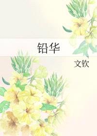 铅华封面
