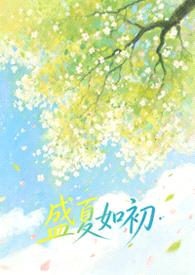 盛夏如初封面