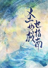 圣女救世指南封面