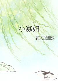 小 寡 妇封面
