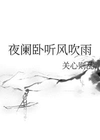 夜阑卧听风吹雨封面