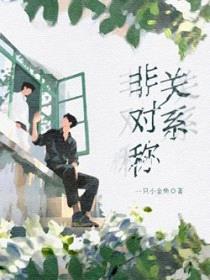 非对称关系封面