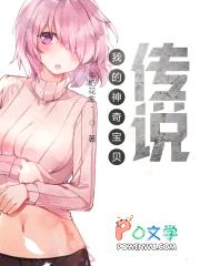 我的神奇宝贝传说封面