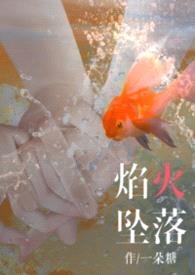 焰火坠落（2v2）封面