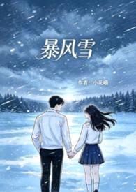 暴风雪封面