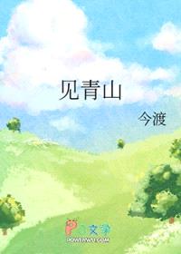 见青山封面