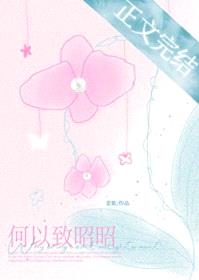 何以致昭昭封面