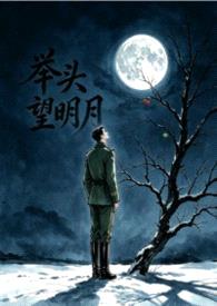 举头望明月封面
