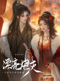 不要玩弄漂亮炮灰封面