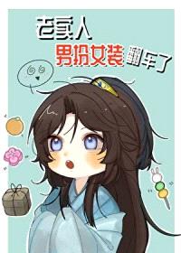 老实人男扮女装翻车了封面