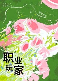 职业玩家封面