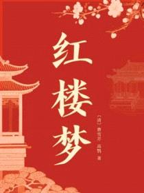 《红楼梦》全文封面