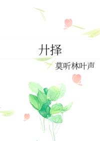 廾择封面