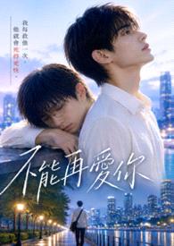 不能再爱你封面