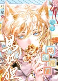 男狐狸他要两肋插刀封面