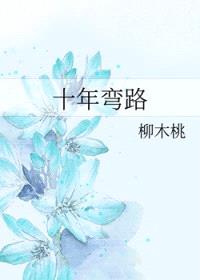 十年弯路封面