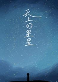 天上的星星封面