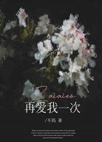 再爱我一次封面