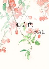 心之色封面