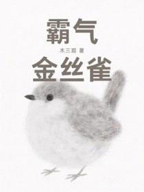 霸气金丝雀封面