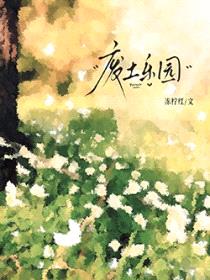 废土乐园封面