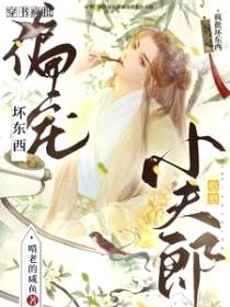 穿书：疯批坏东西偏宠憨憨小夫郎封面