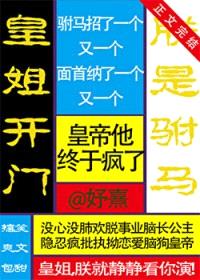皇姐开门，朕是驸马封面