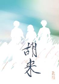 胡来（NP）封面
