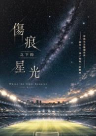 伤痕之下的星光—天才前锋的坠落封面