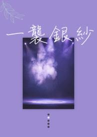 一袭银纱封面