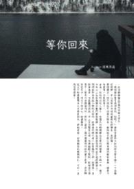 等你回来封面