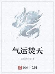 气运焚天封面