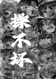操不坏（nph）封面